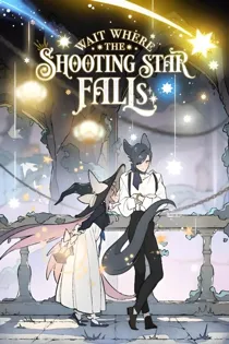 Wait Where the Shooting Star Falls (Cleon)
