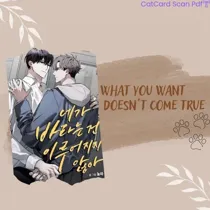 What You Want Doesn't Come True (CatCard Scan)